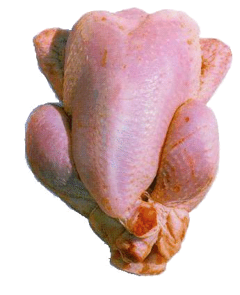 chicken.gif